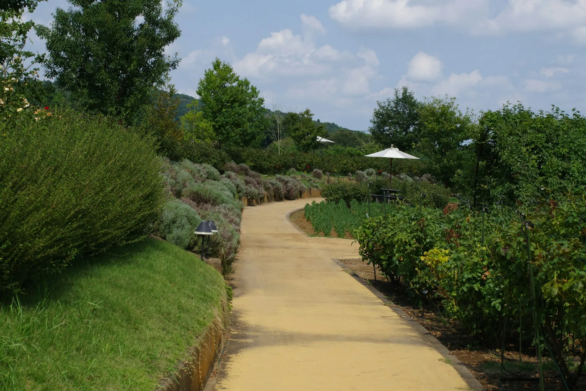 Pflasterarbeiten Terrasse