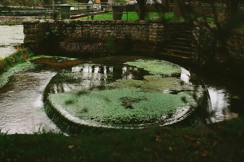 Gartenteich und Wasserbau